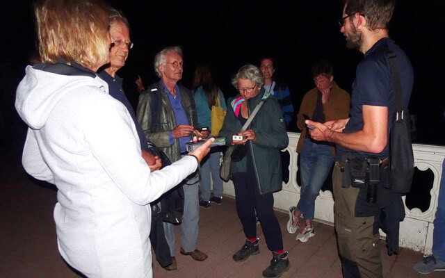 Vleermuizenexcursie Amelisweerd & Rhijnauwen, foto: Tieneke de Groot.